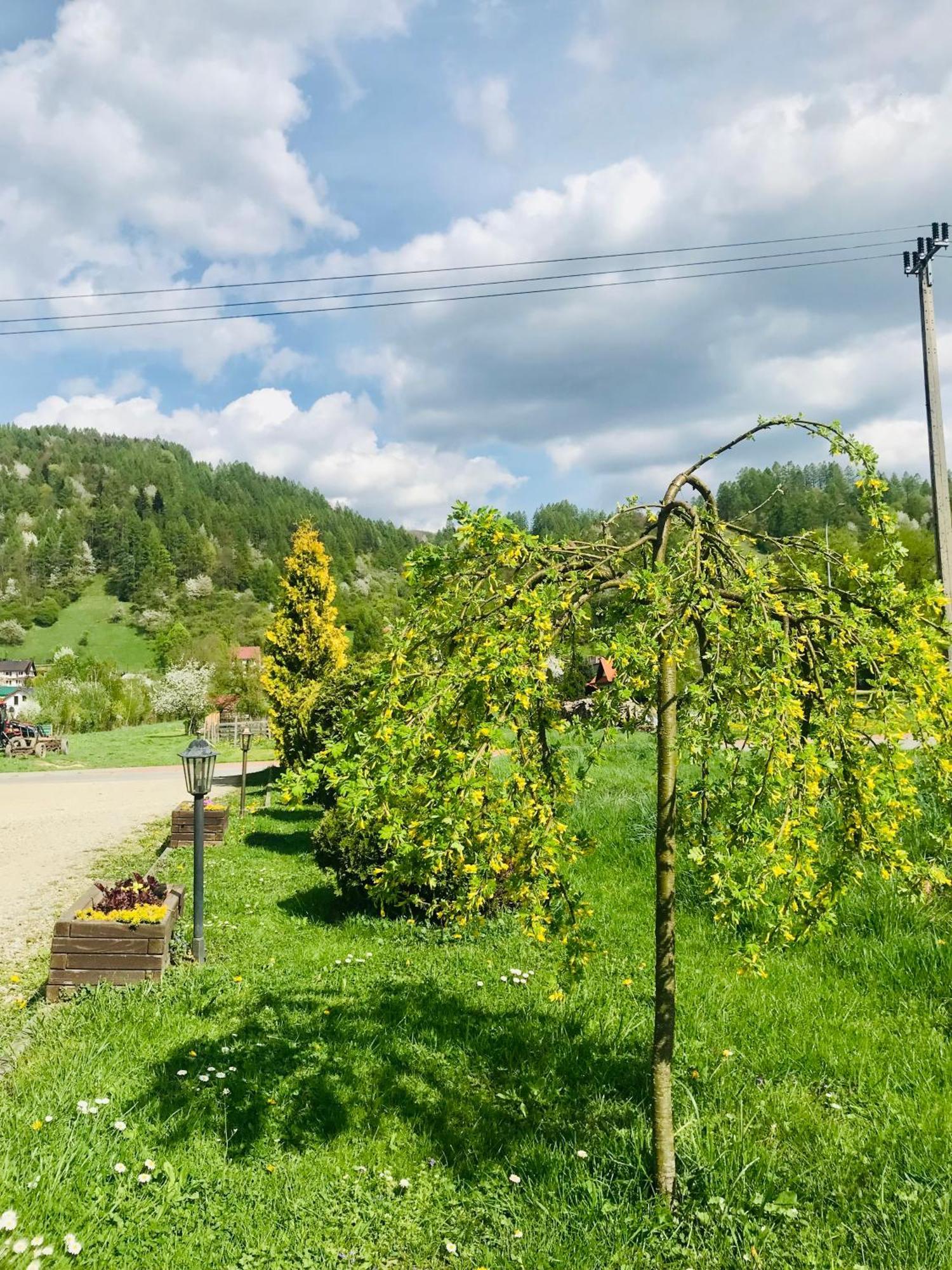 Zielone Zacisze Hotel Kroscienko nad Dunajcem Bagian luar foto