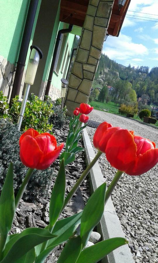 Zielone Zacisze Hotel Kroscienko nad Dunajcem Bagian luar foto